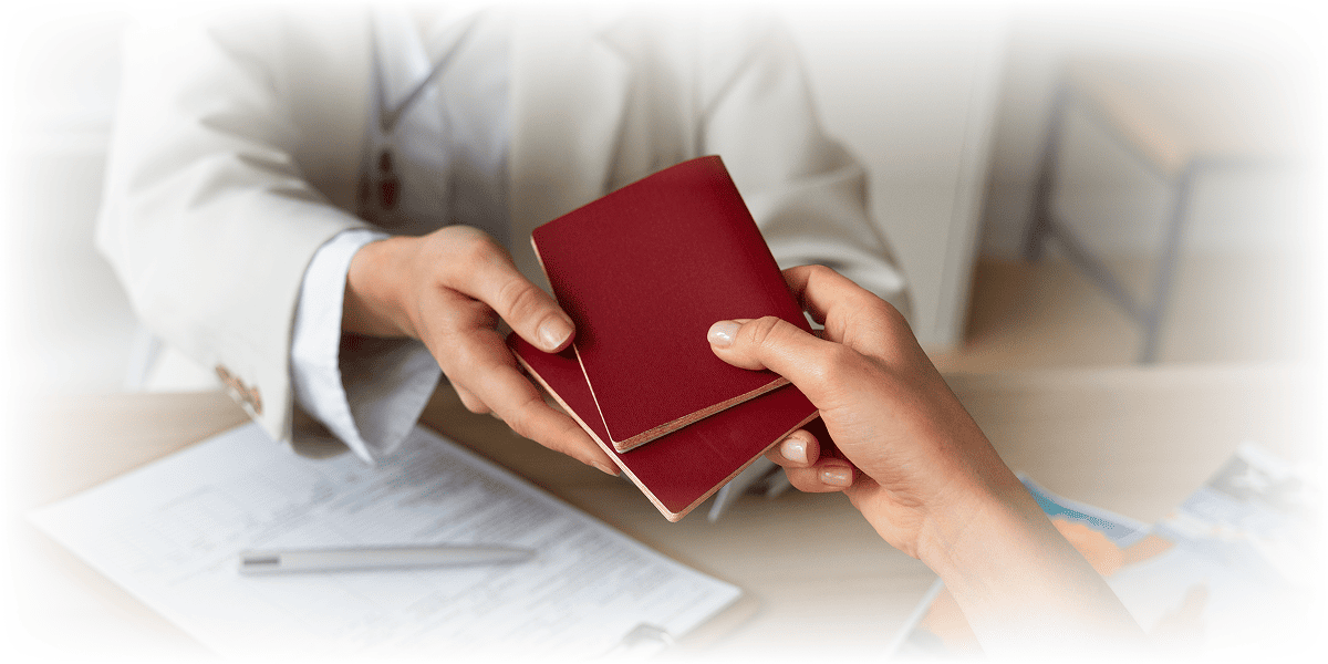 University Applications & Visa